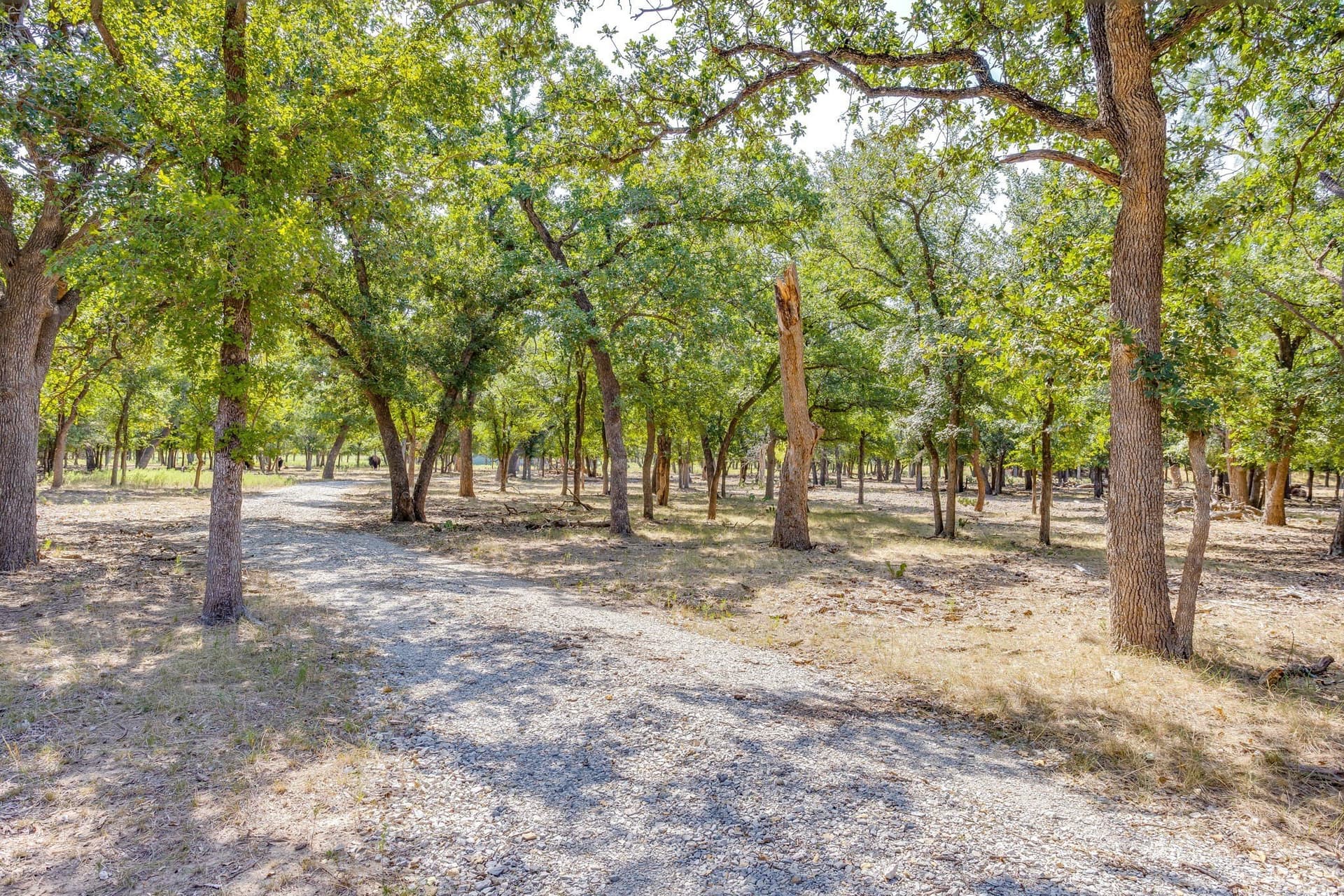 34.08 acres in Palo Pinto County gallery image 4