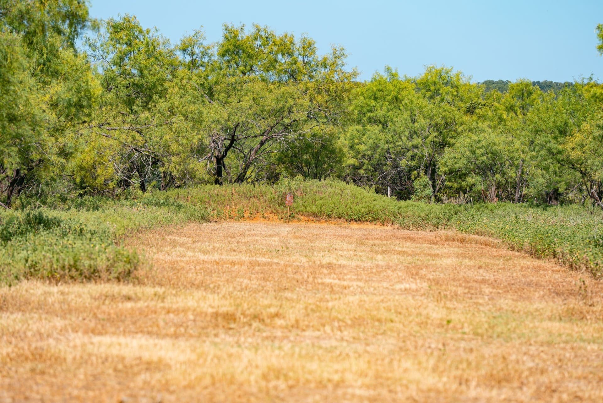34.08 acres in Palo Pinto County - photo 27