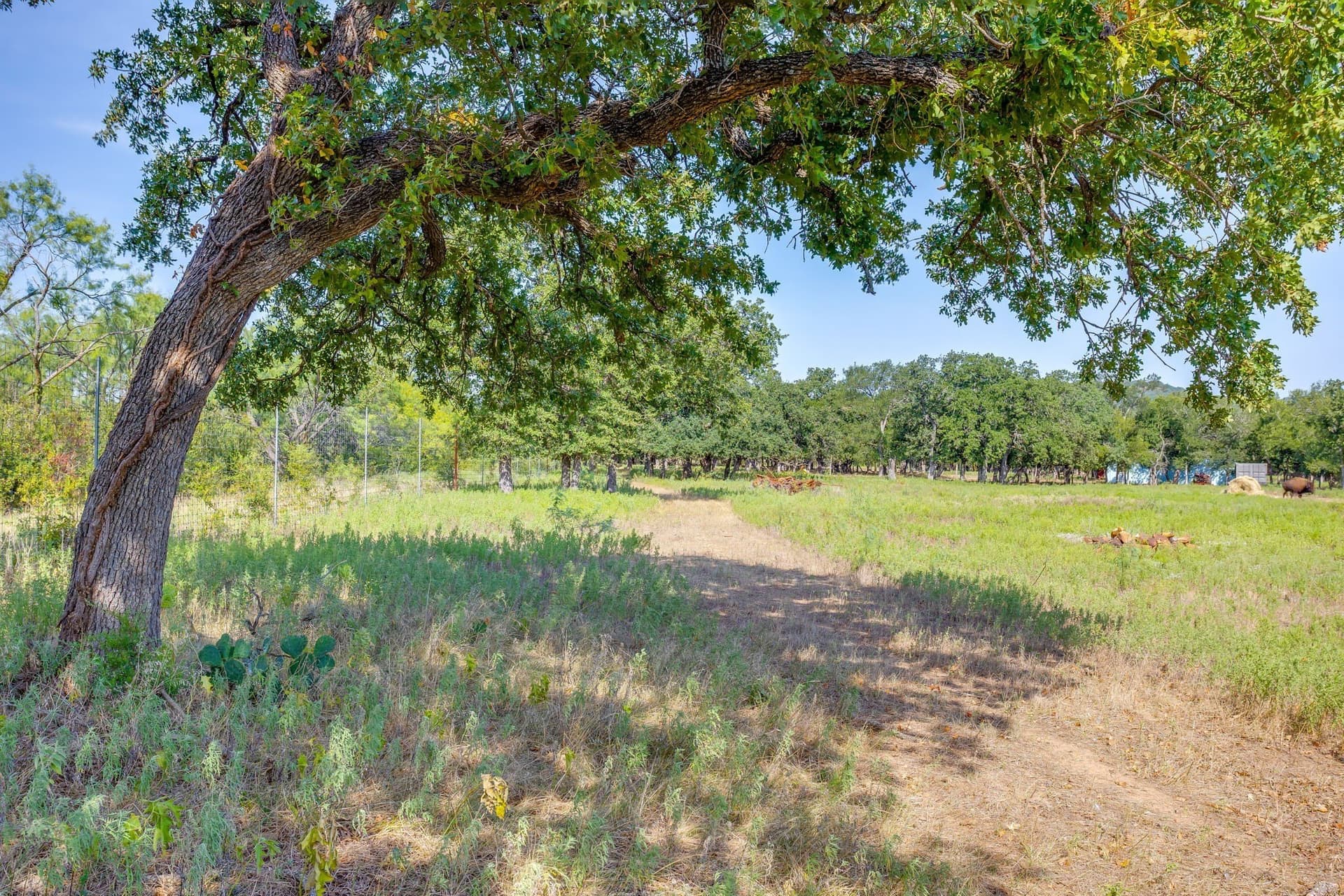 34.08 acres in Palo Pinto County - photo 15