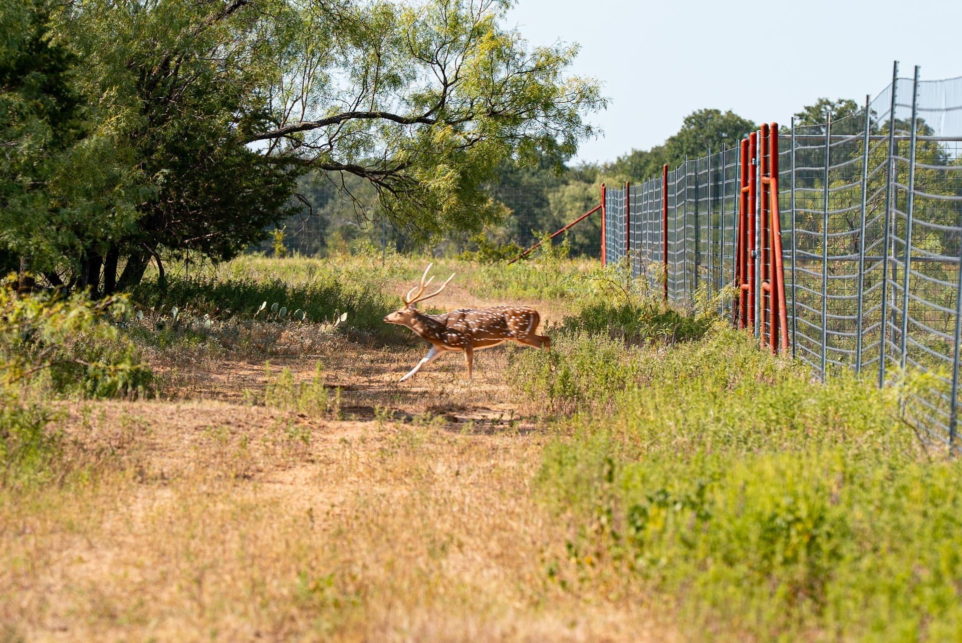 34.08 acres in Palo Pinto County - photo 12