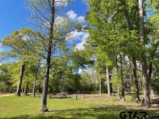 1.9 acres in Smith County gallery image 4