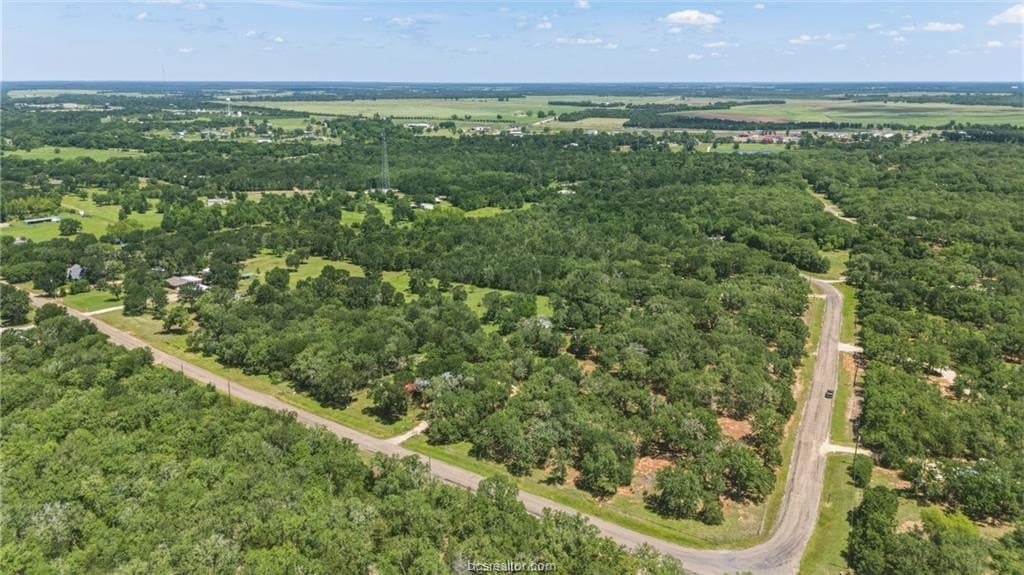 10 acres in Brazos County - photo 14