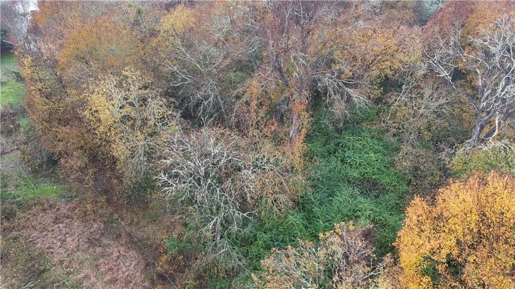 0.48 acres in Robertson County featured view