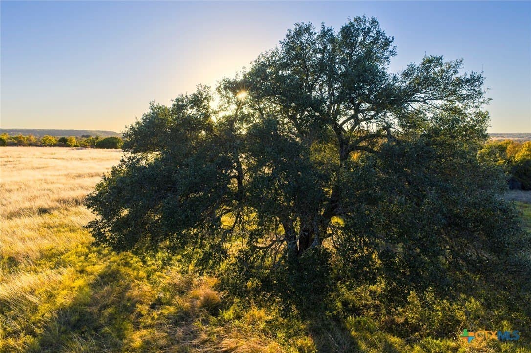 10.01 acres in Hamilton County gallery image 2