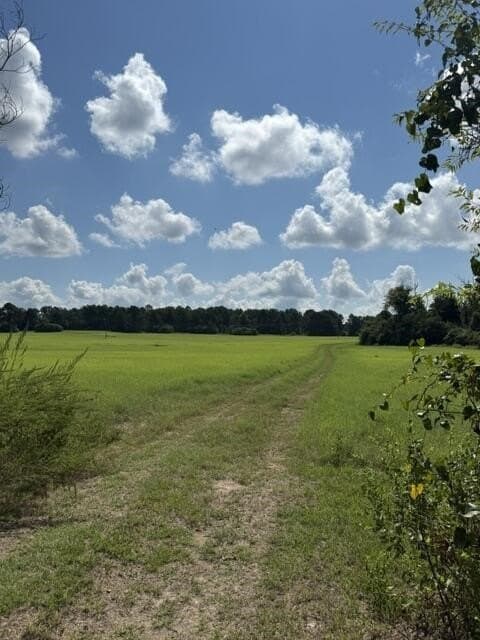 50 acres in Anderson County - photo 2