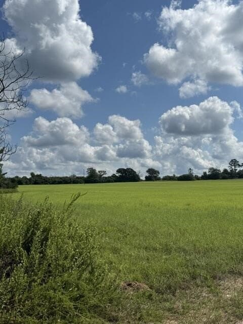 50 acres in Anderson County - photo 4
