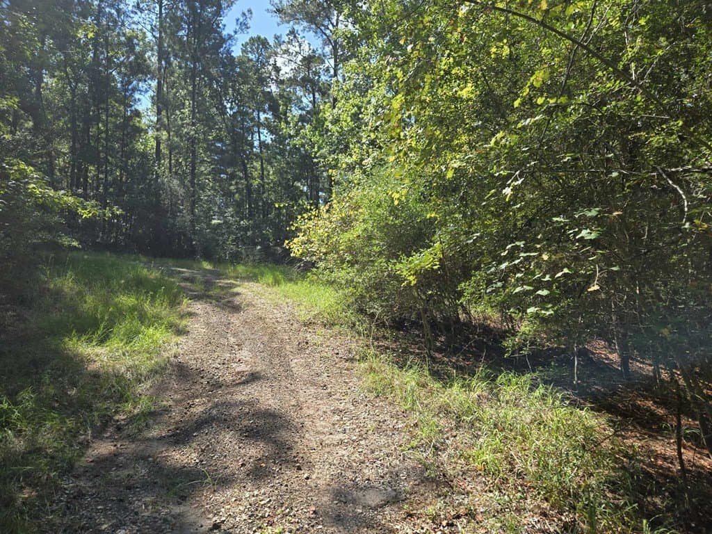 0.77 acres in Texas County gallery image 3