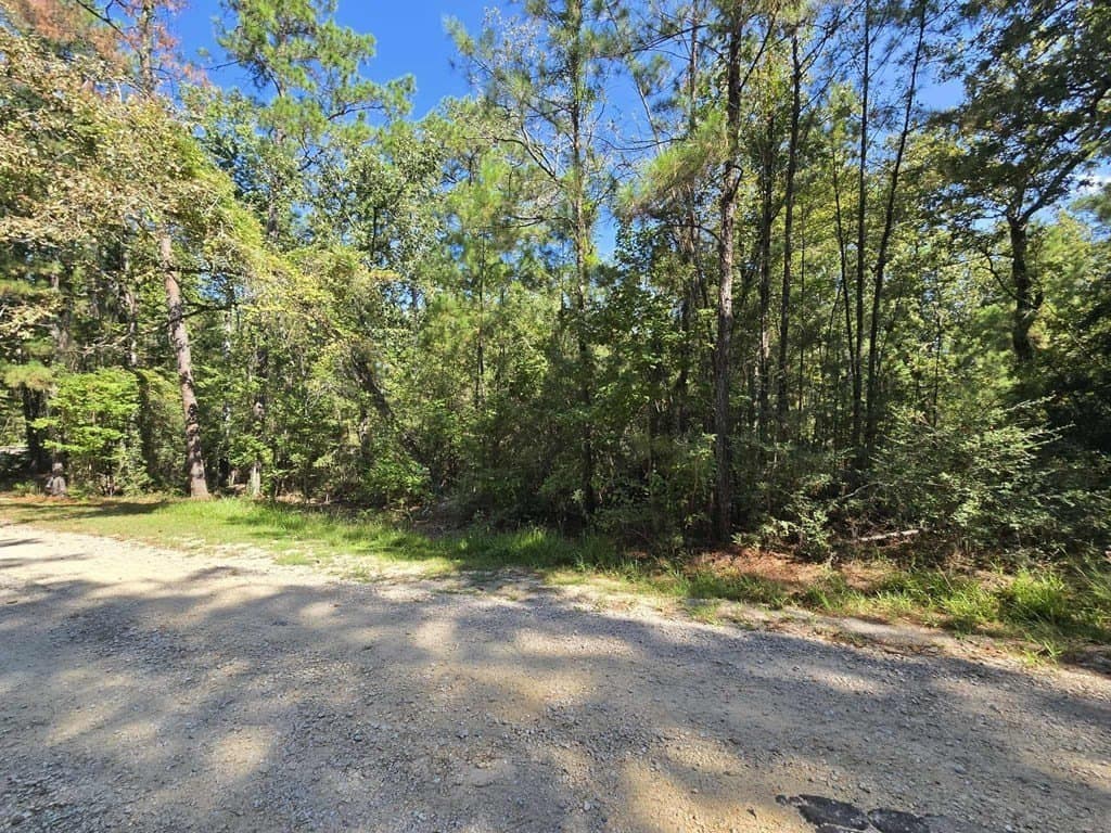 0.77 acres in Texas County gallery image 4