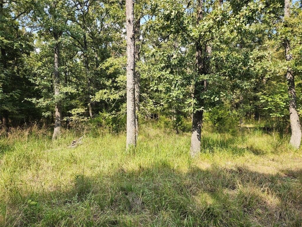 0.48 acres in Hunt County