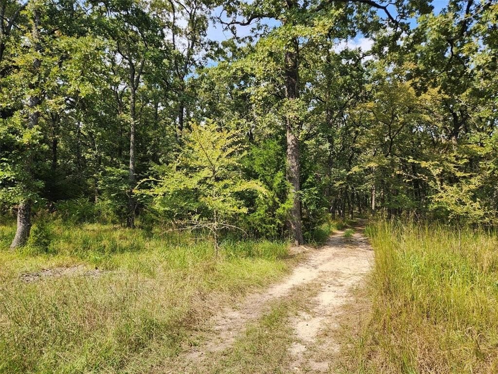 0.48 acres in Hunt County featured view
