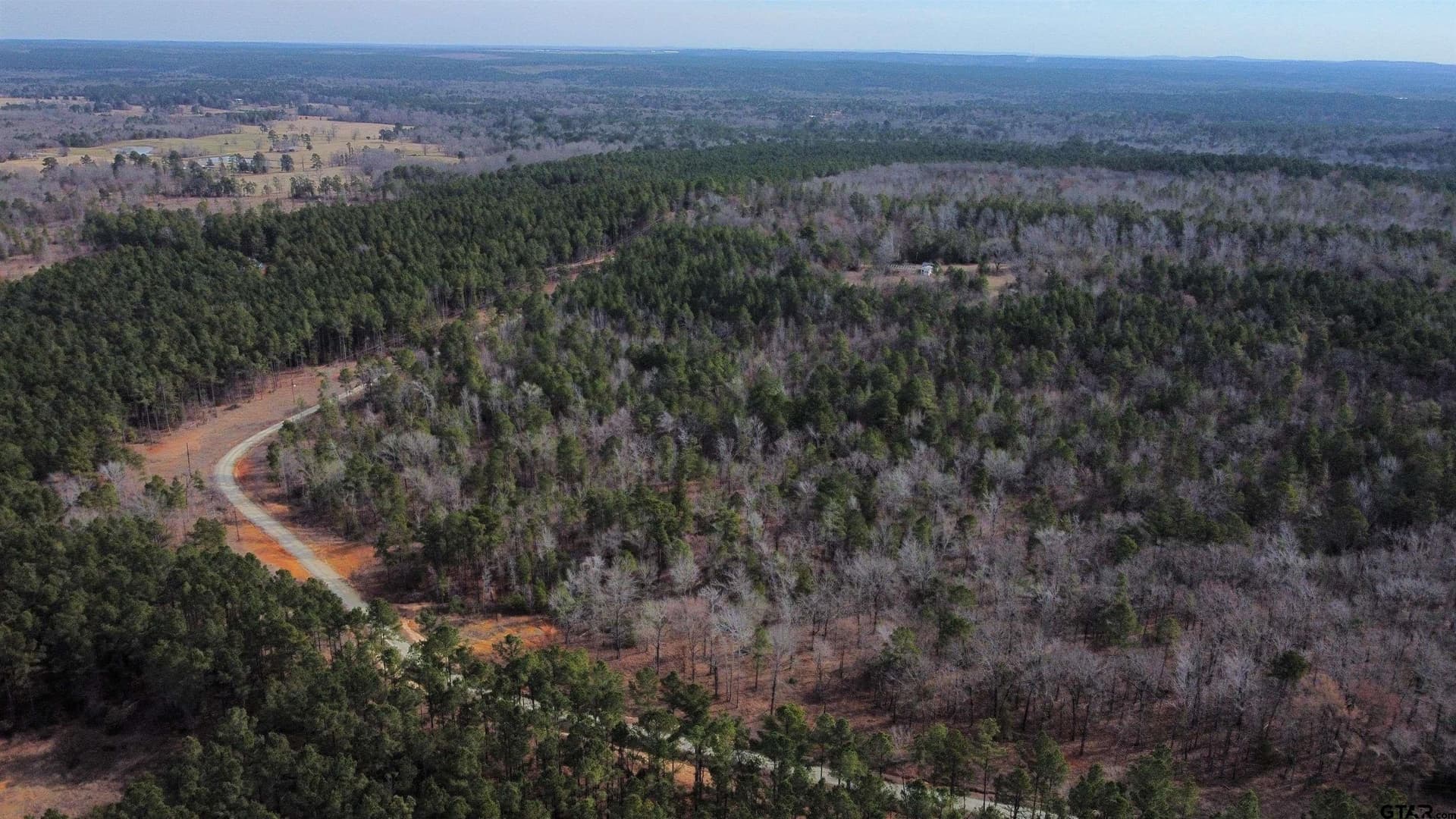 10.01 acres in Wood County - photo 7
