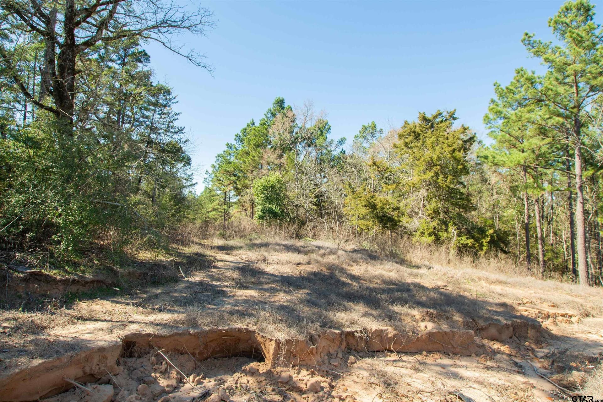 10.01 acres in Wood County - photo 12