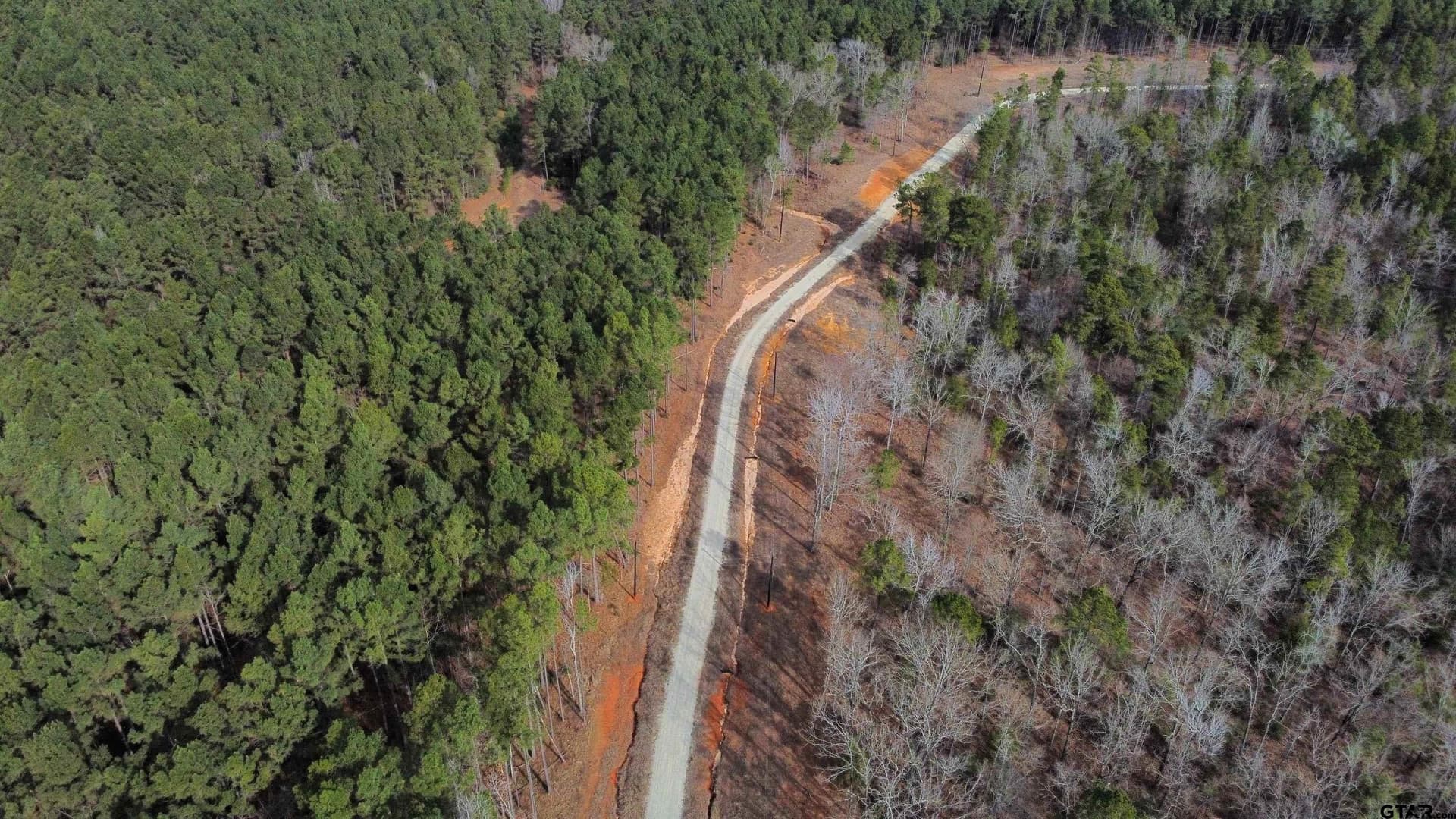 10.01 acres in Wood County - photo 6