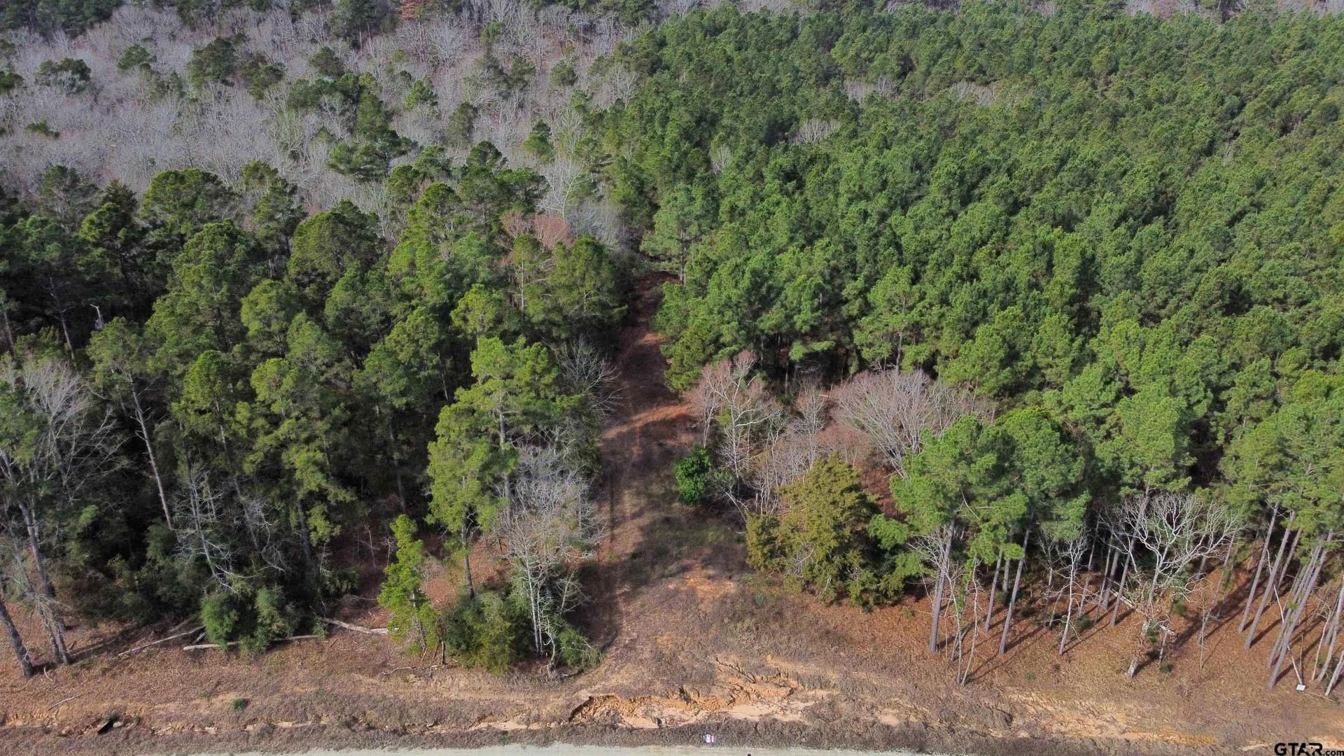10.01 acres in Wood County - photo 10