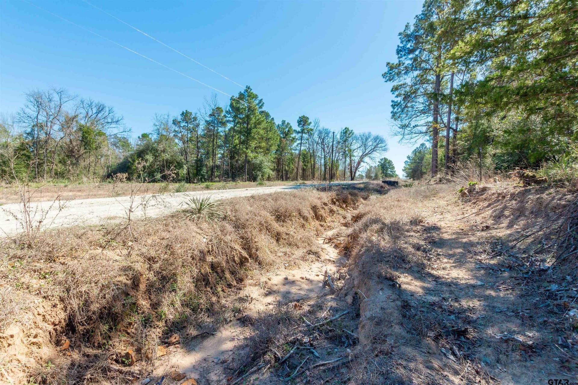 10.01 acres in Wood County - photo 16