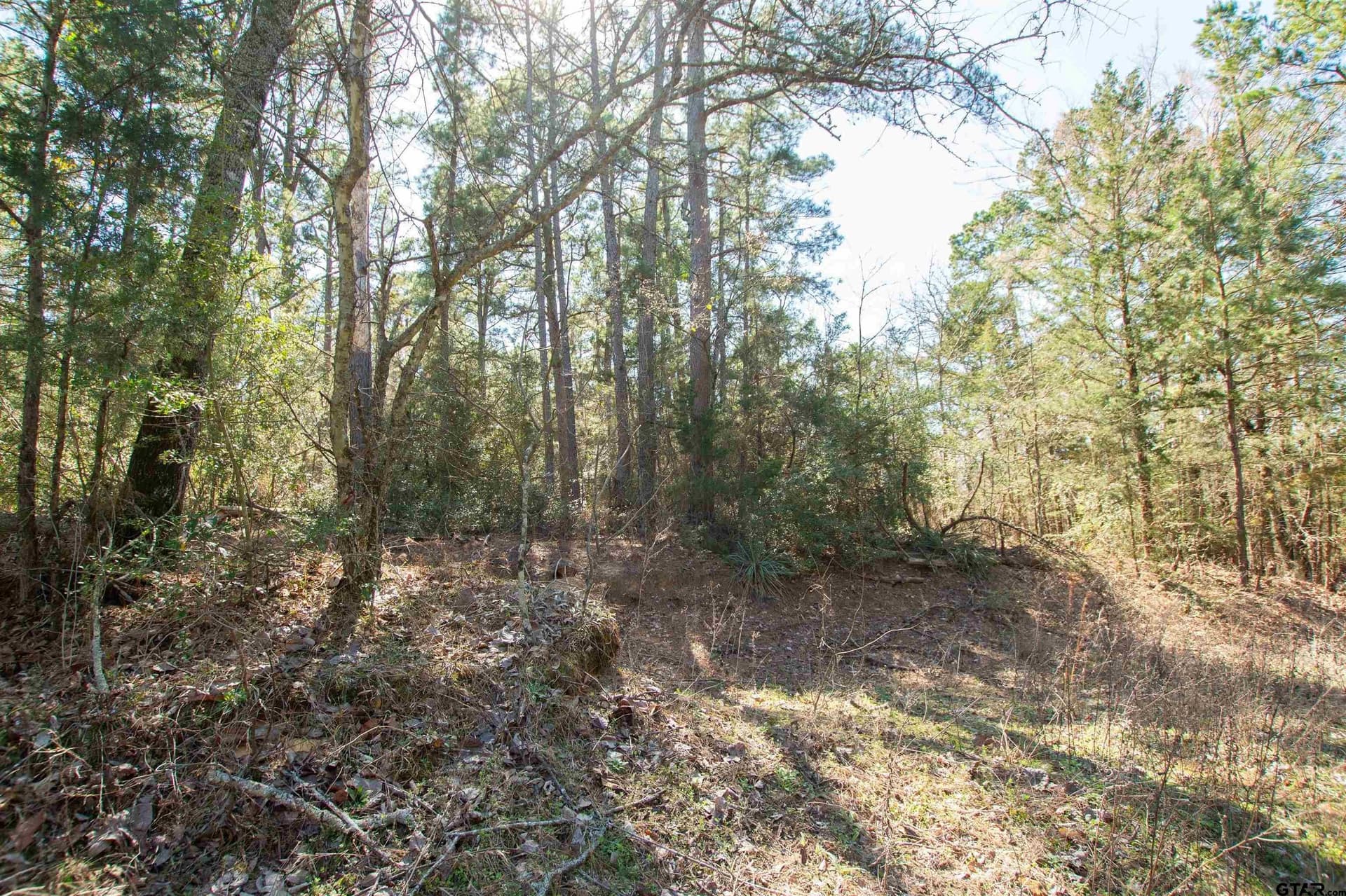 10.01 acres in Wood County - photo 13