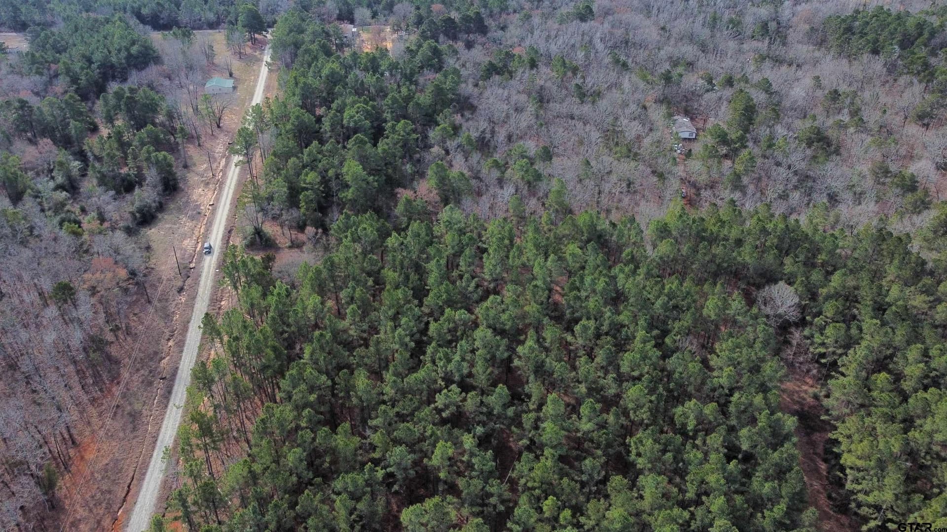 10.01 acres in Wood County - photo 8