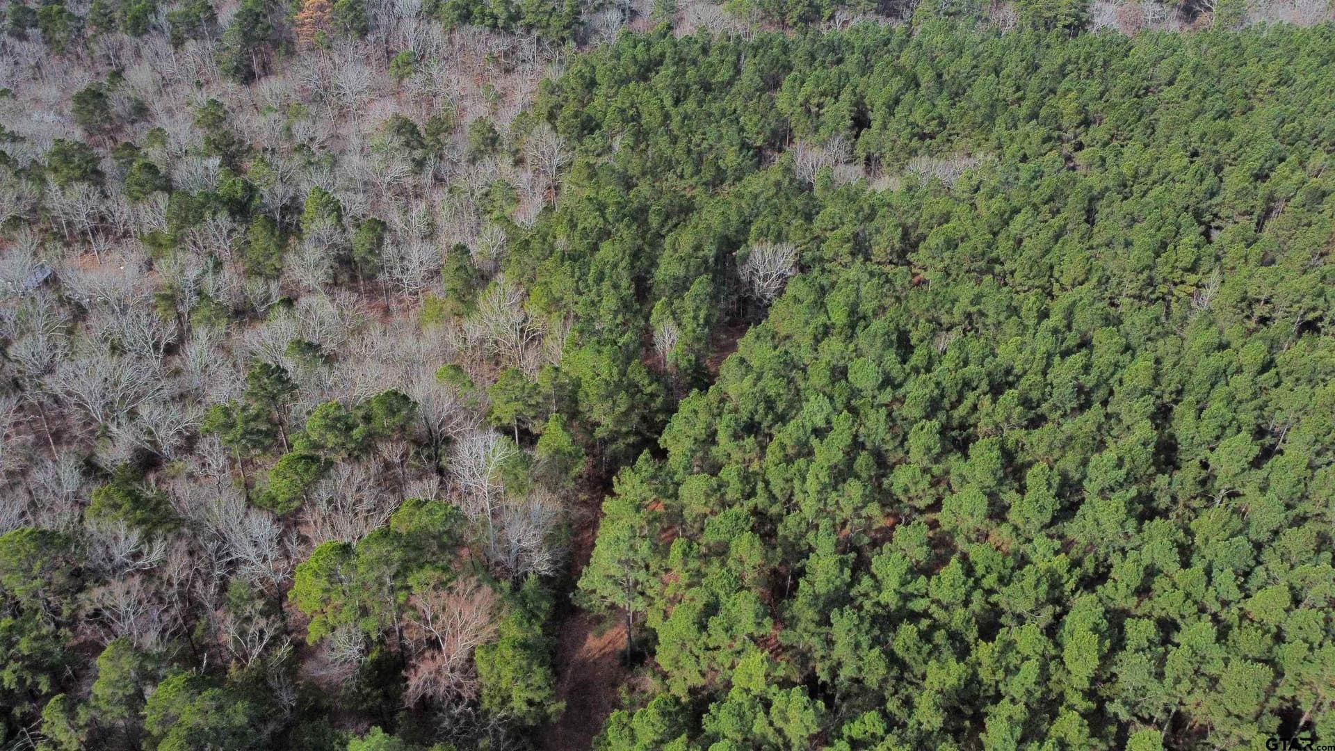 10.01 acres in Wood County - photo 11