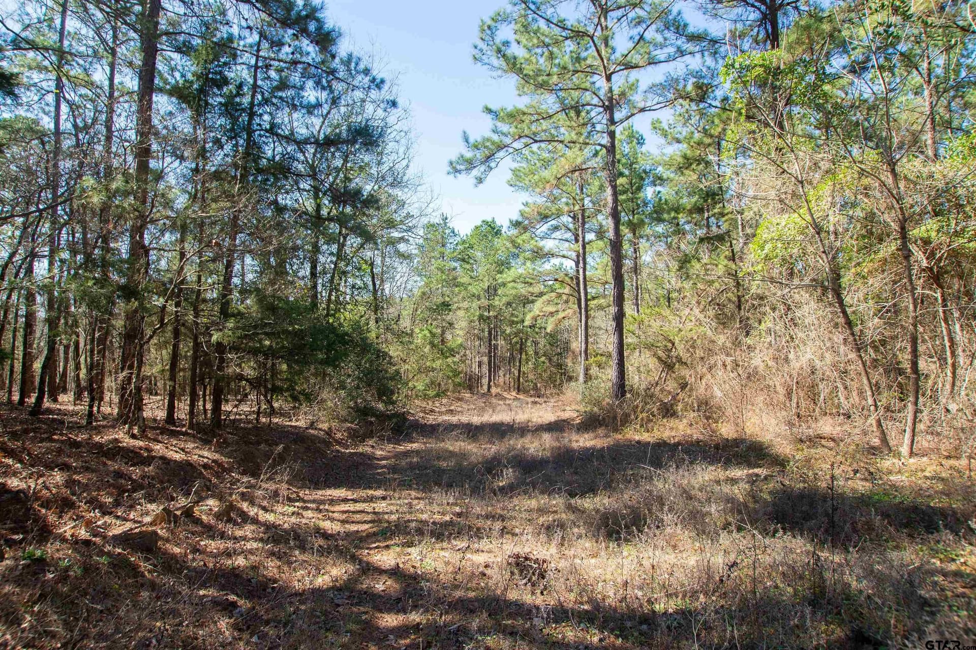 10.01 acres in Wood County - photo 14