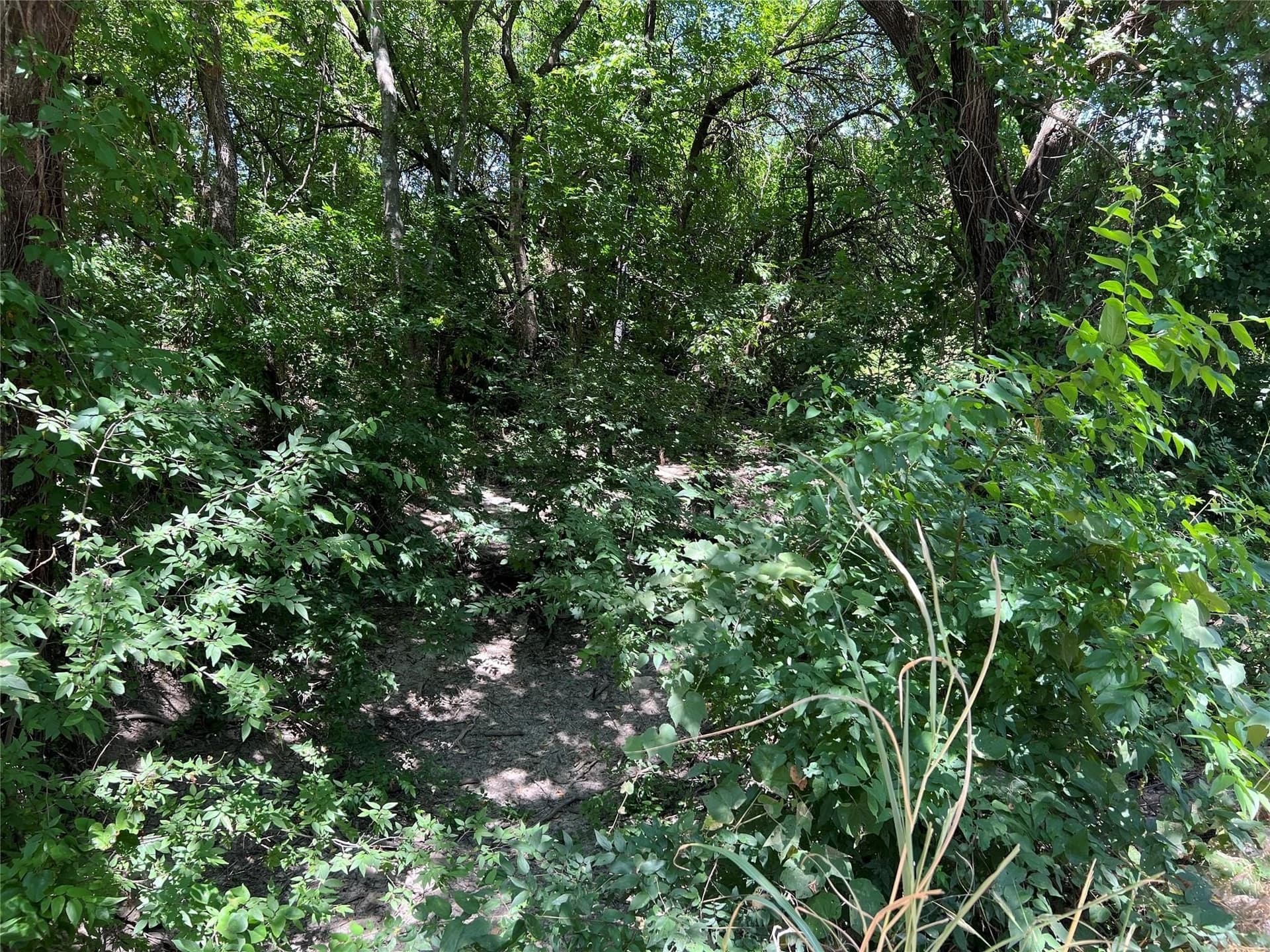 22.73 acres in Grayson County - photo 8