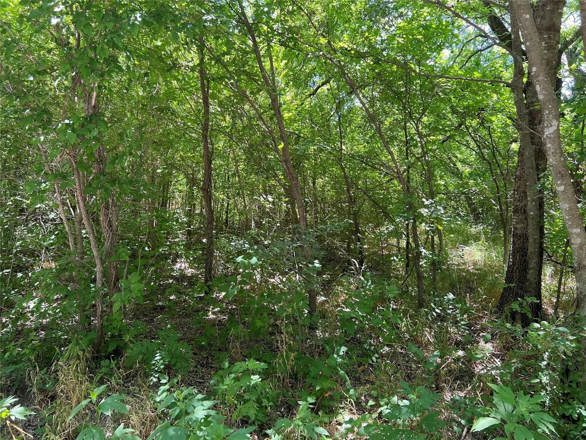 22.73 acres in Grayson County - photo 7