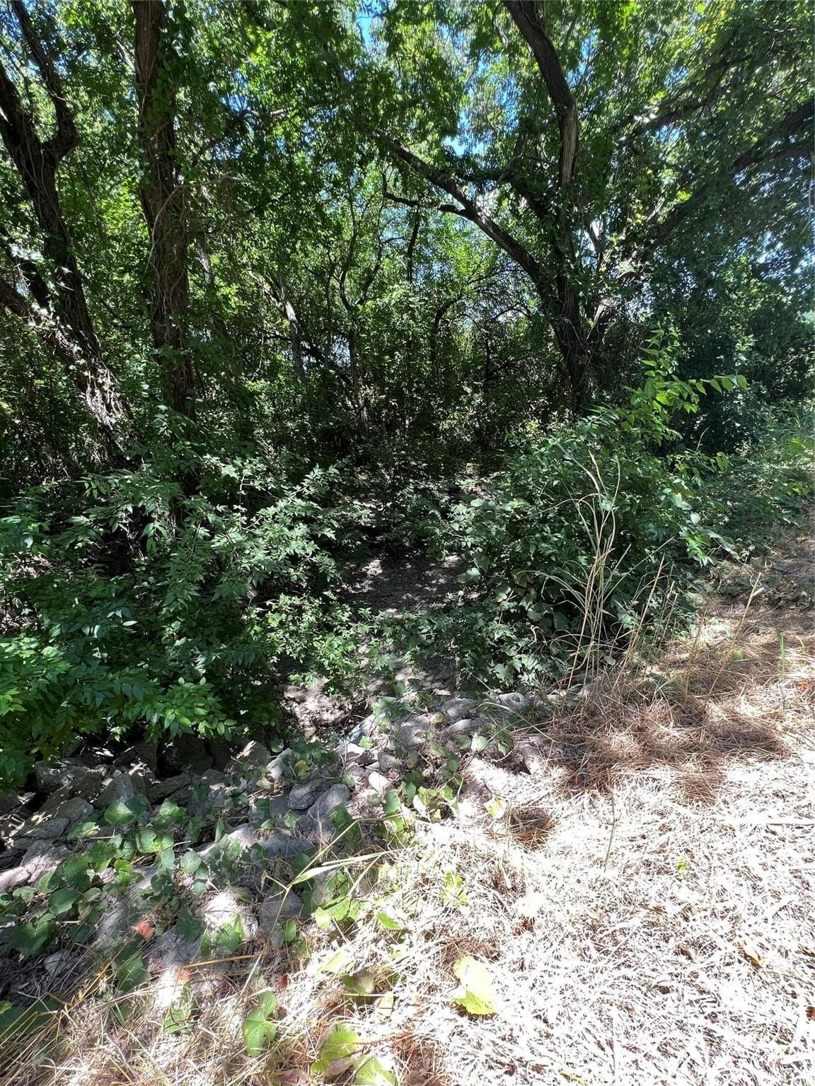 22.73 acres in Grayson County - photo 9