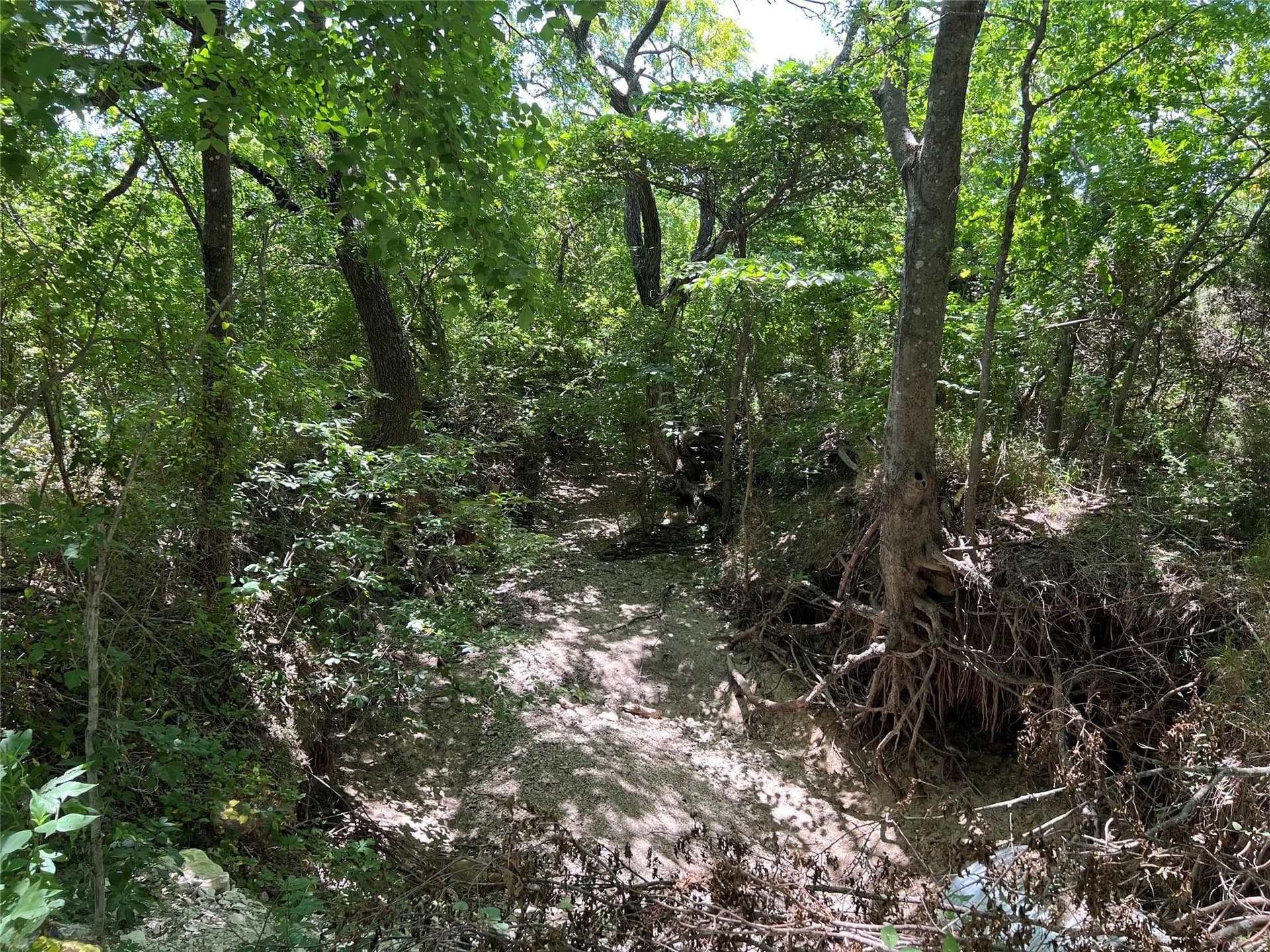 22.73 acres in Grayson County - photo 6