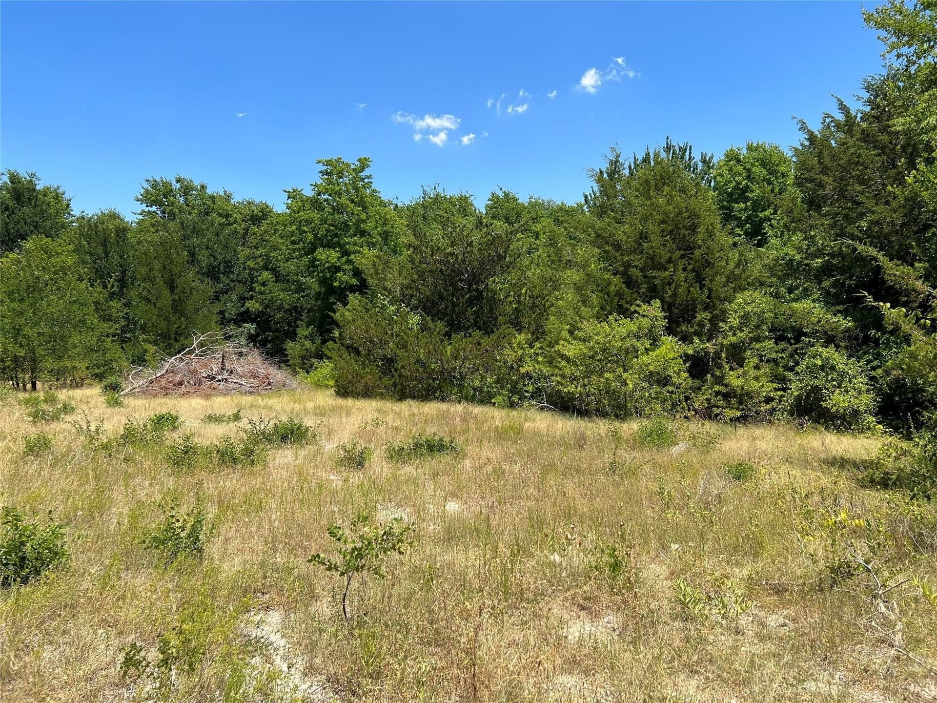 22.73 acres in Grayson County featured view