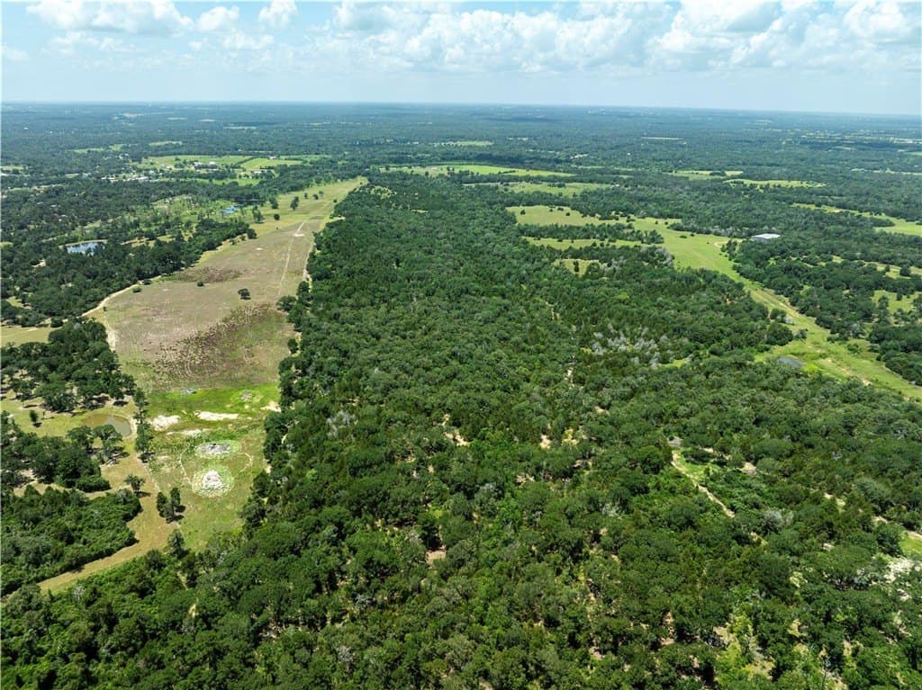 106.16 acres in AUSTIN County - photo 3