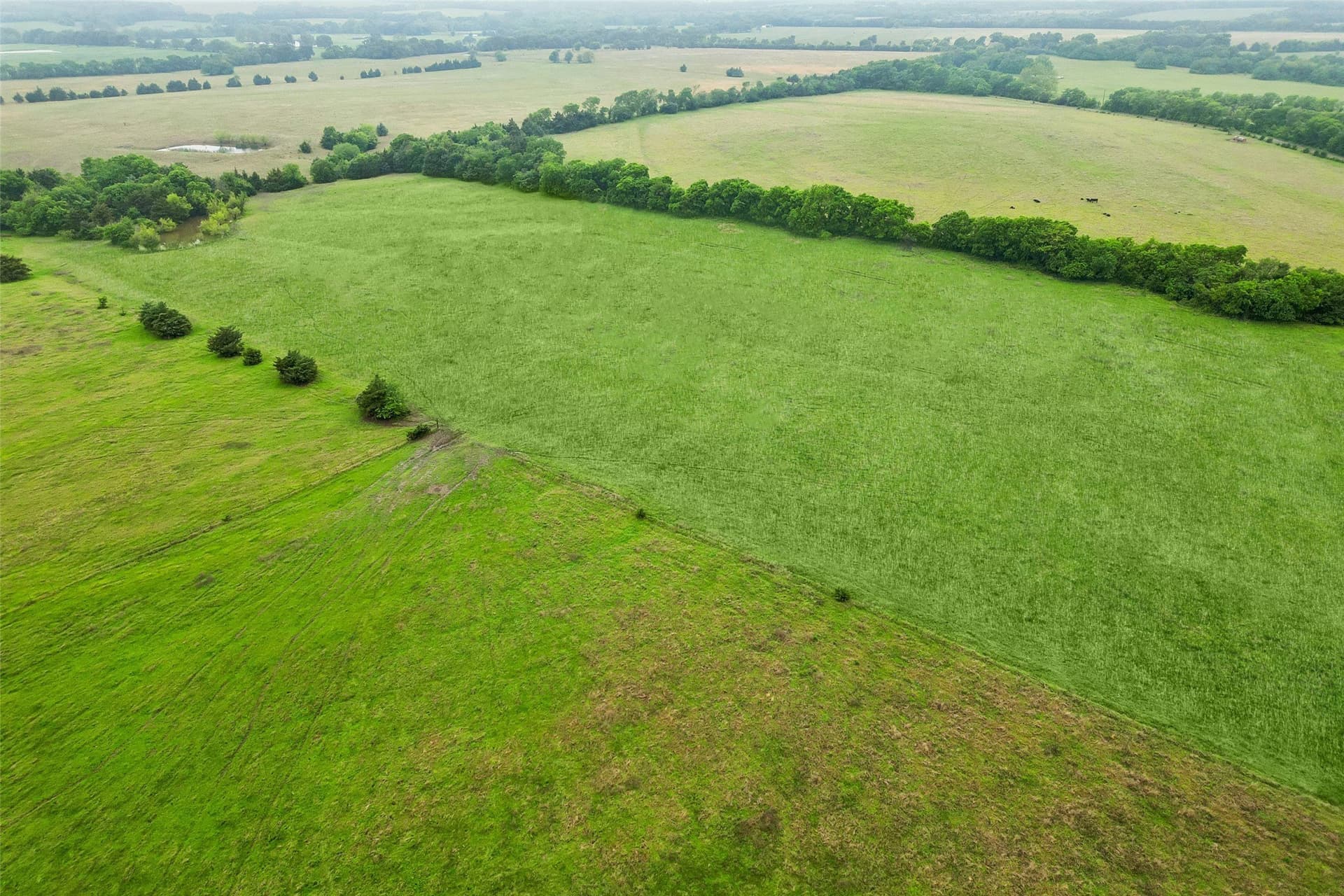 8.6 acres in Fannin County - photo 6