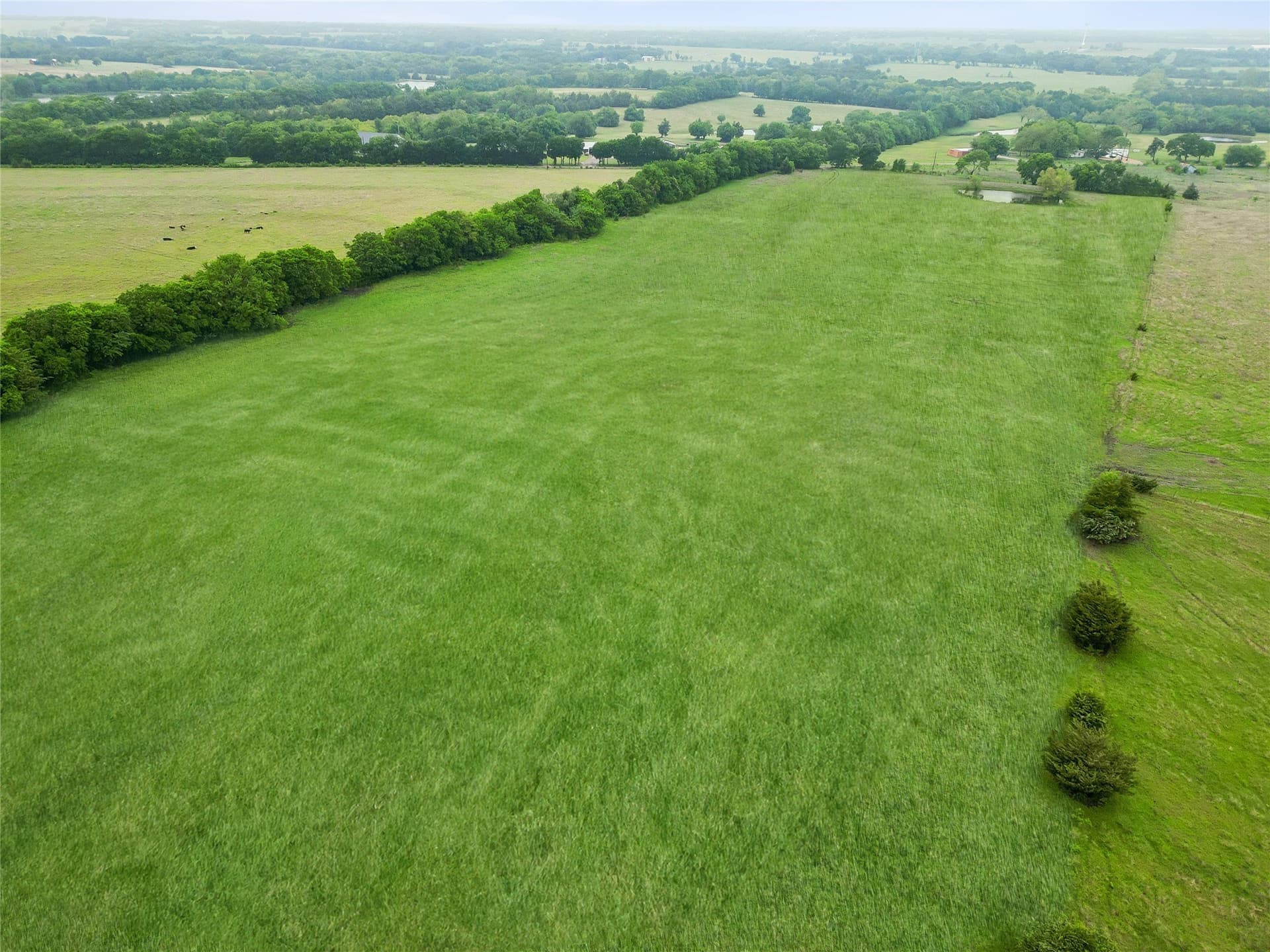 8.6 acres in Fannin County - photo 9