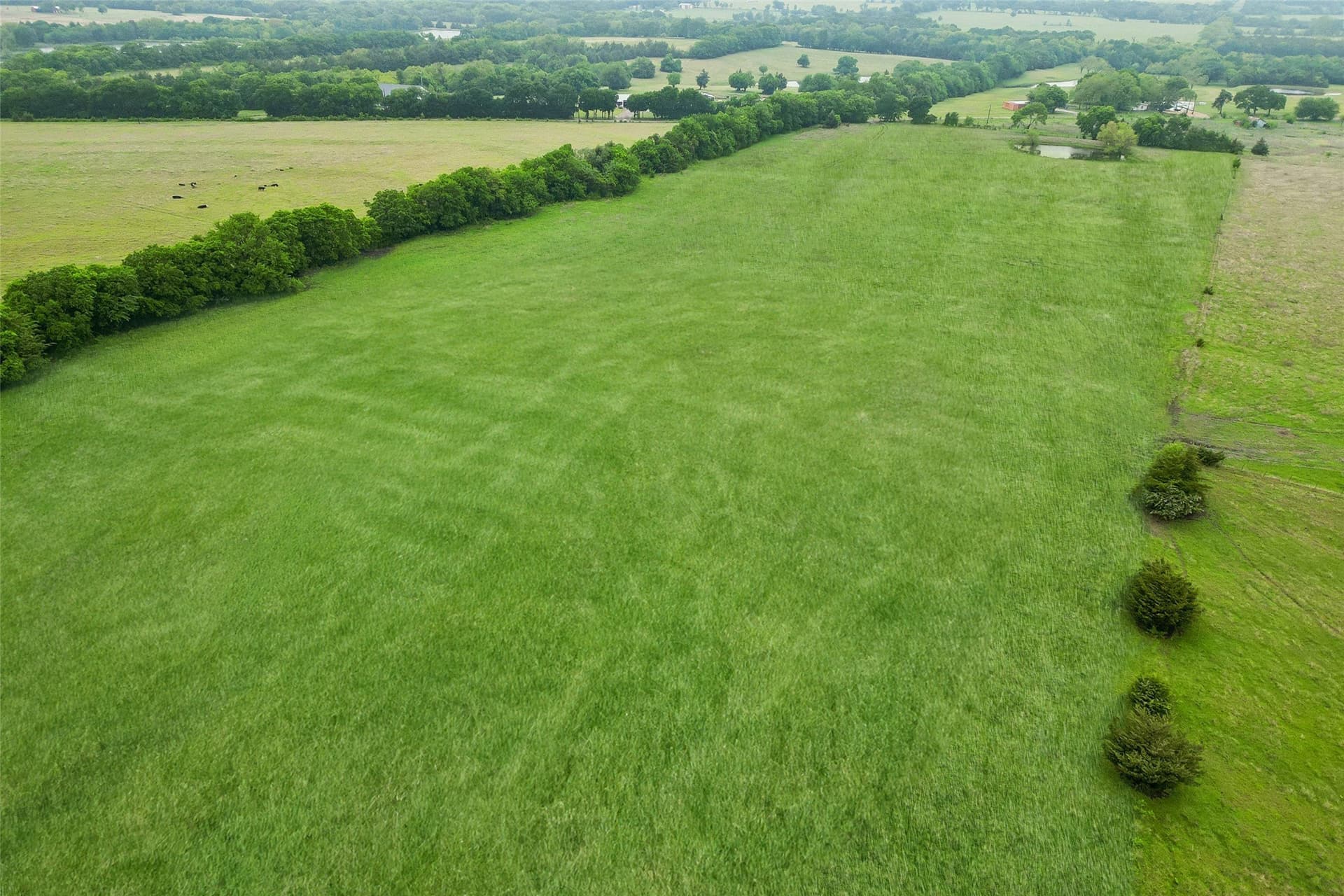 8.6 acres in Fannin County - photo 8