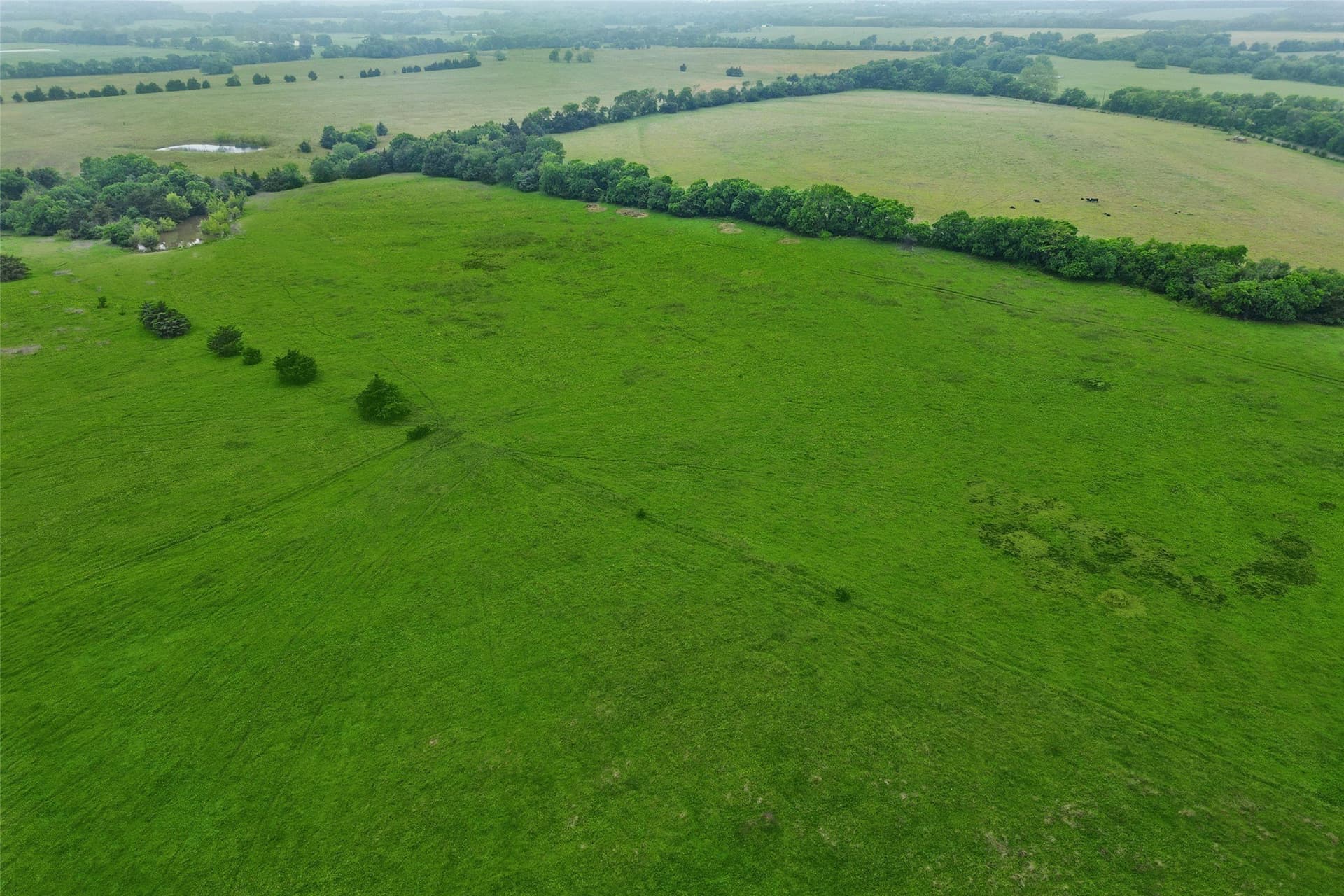 8.6 acres in Fannin County gallery image 4