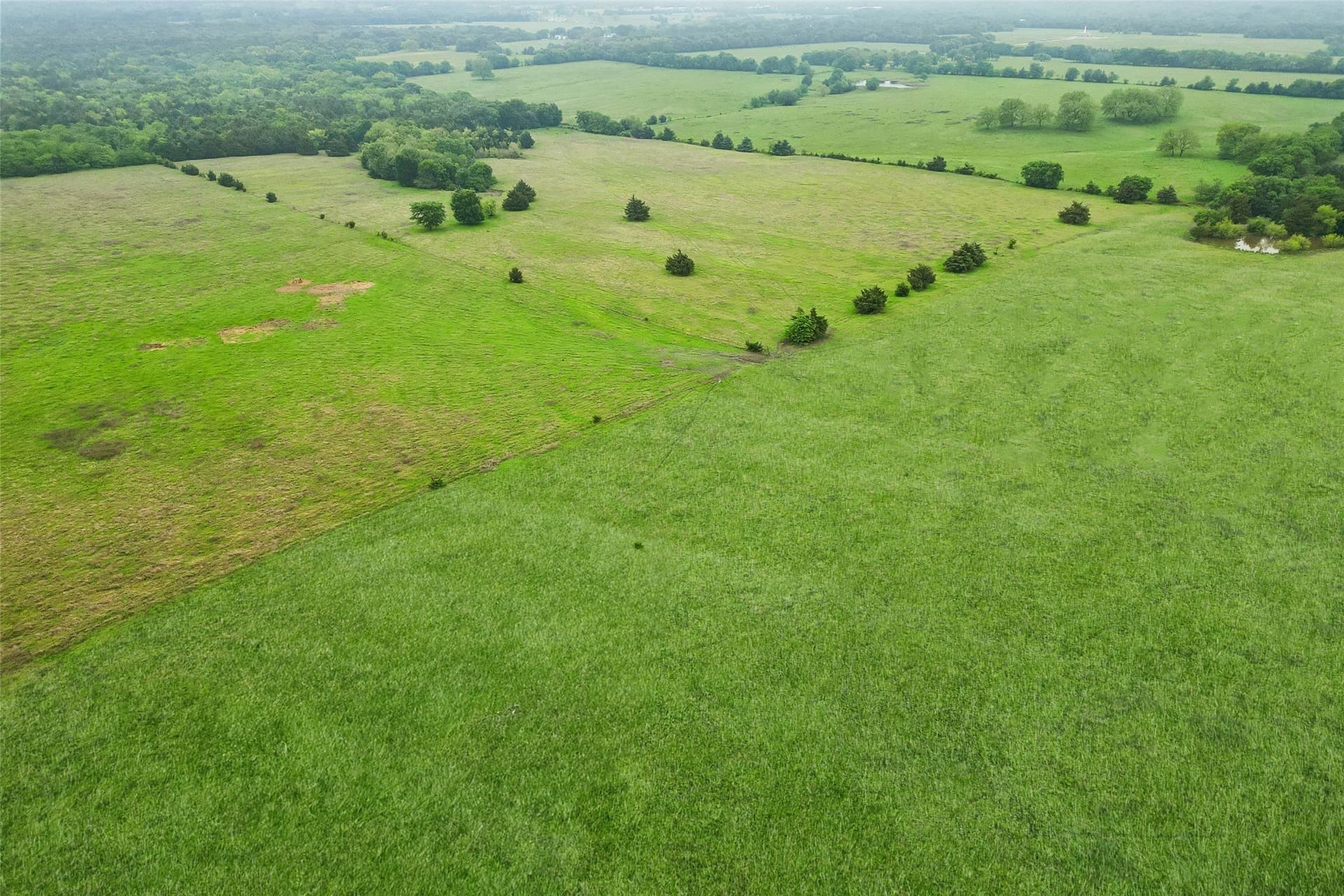 8.6 acres in Fannin County - photo 7