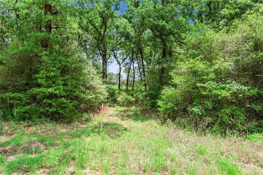 4.08 acres in Robertson County - photo 27