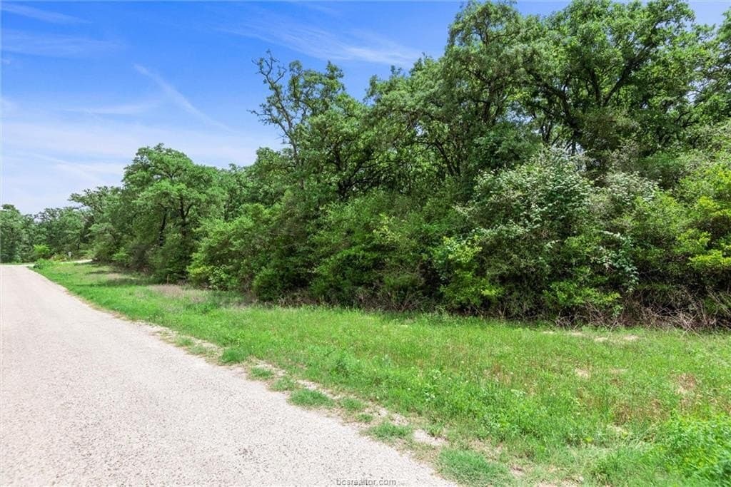 4.08 acres in Robertson County - photo 29