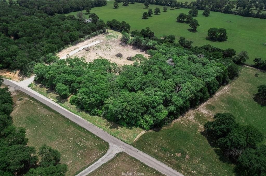 40.8 acres in Robertson County gallery image 2