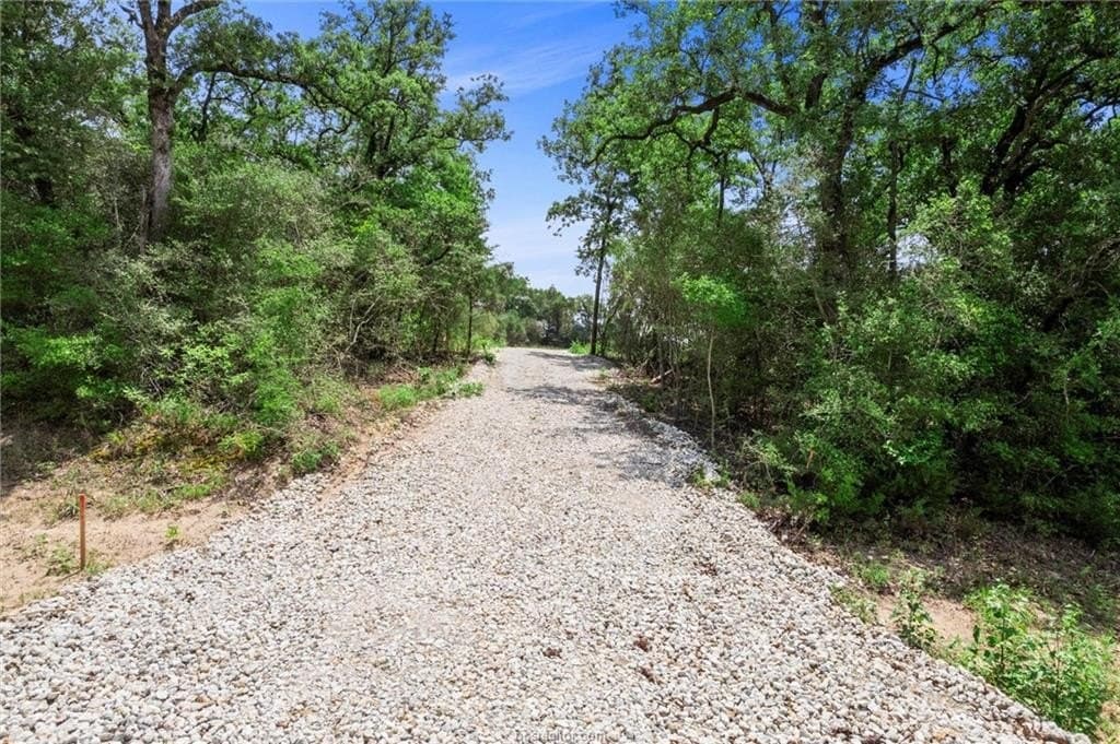 4.08 acres in Robertson County - photo 25