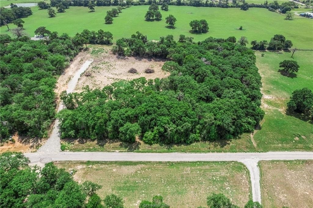 40.8 acres in Robertson County gallery image 3