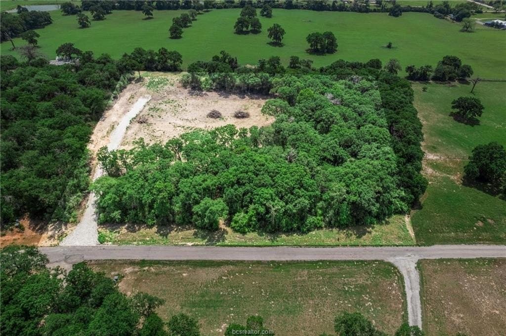 40.8 acres in Robertson County gallery image 4