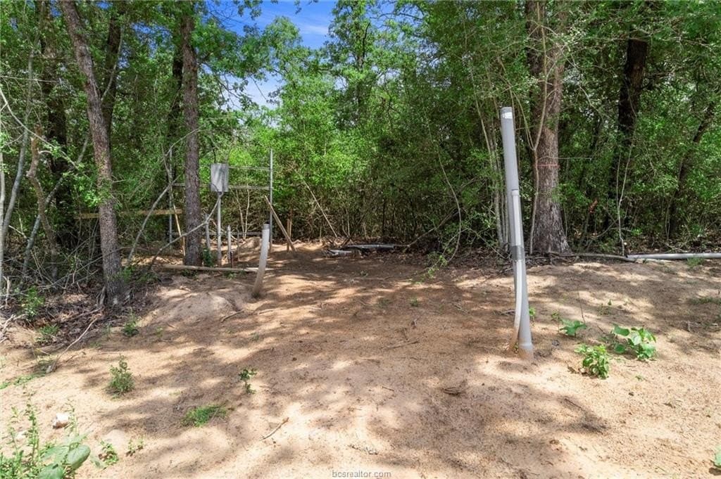4.08 acres in Robertson County - photo 26