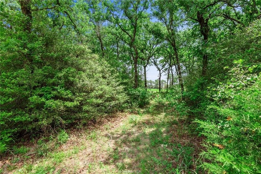 4.08 acres in Robertson County - photo 28