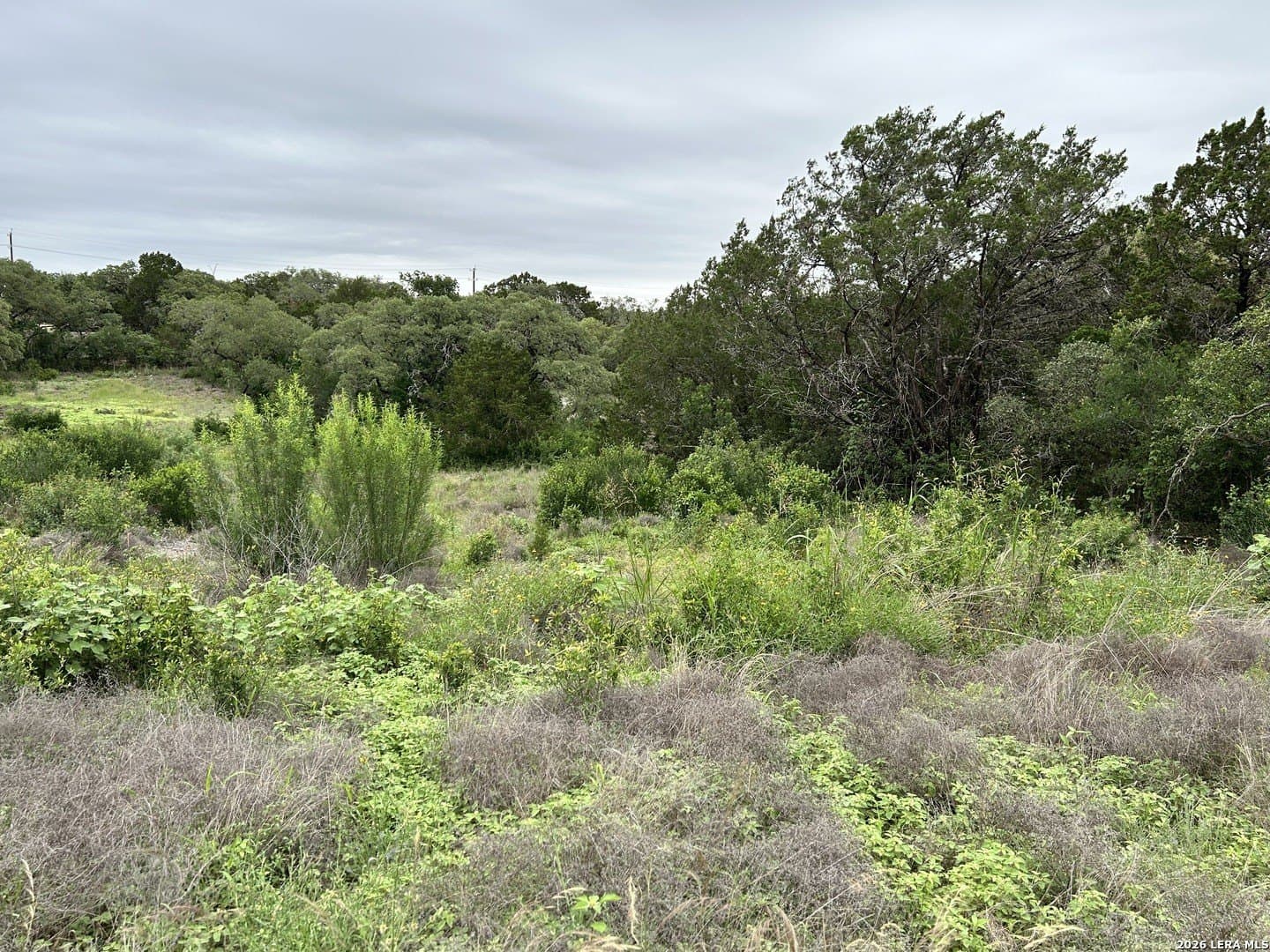 1.14 acres in Bexar County gallery image 4