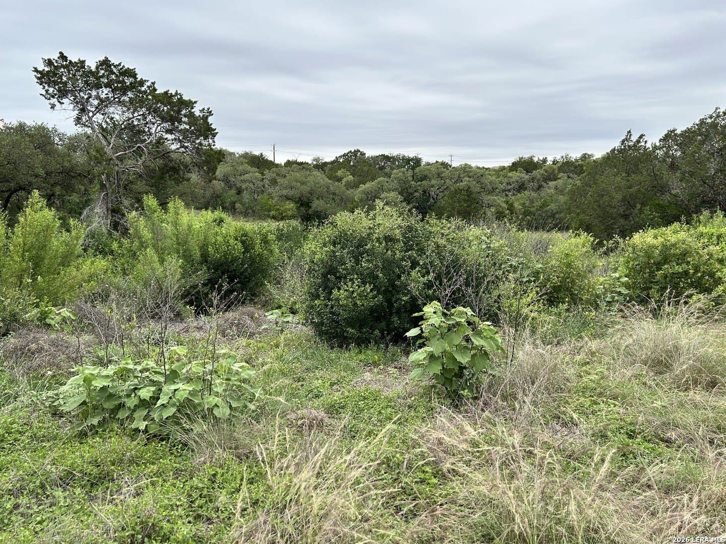 1.14 acres in Bexar County gallery image 3