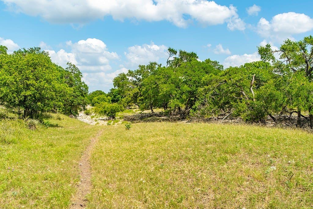 12.03 acres in Gillespie County - photo 15