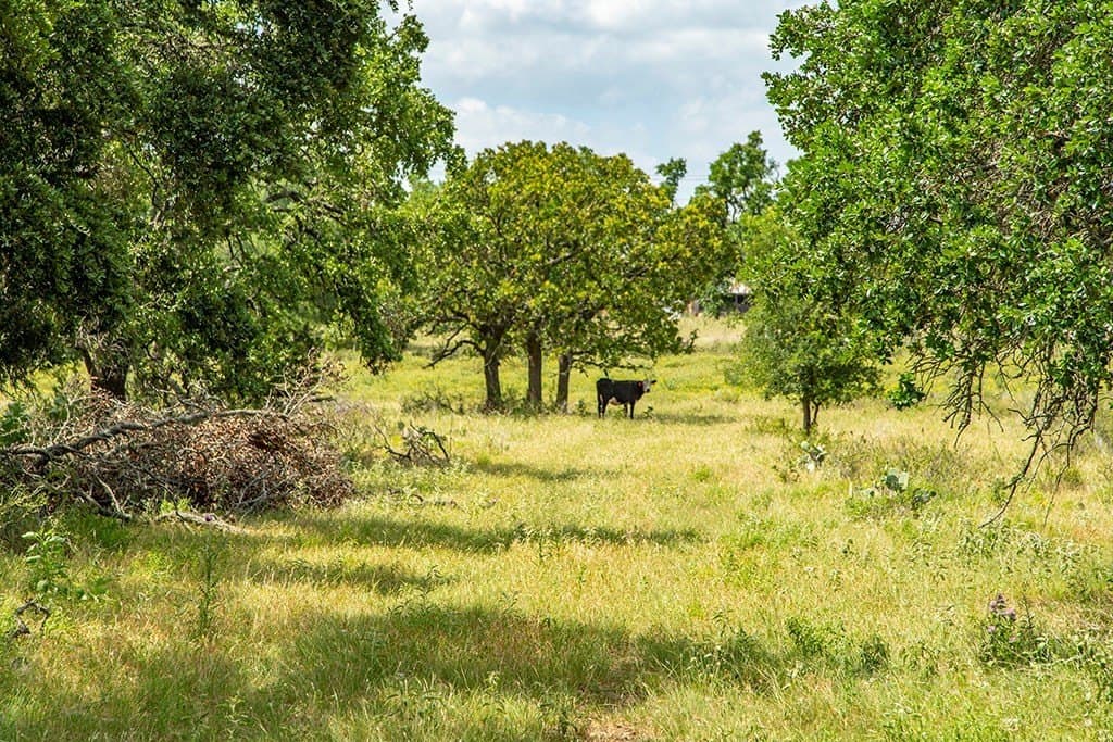 12.03 acres in Gillespie County - photo 8