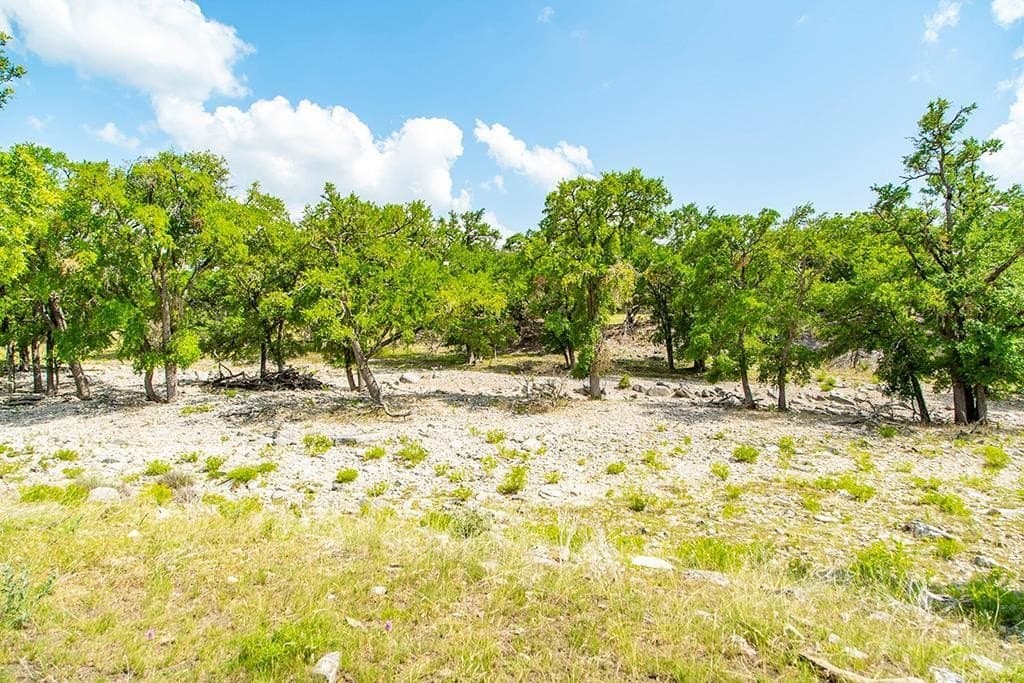 12.03 acres in Gillespie County - photo 21
