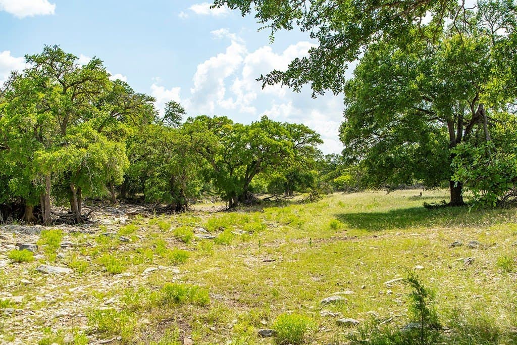 12.03 acres in Gillespie County - photo 20