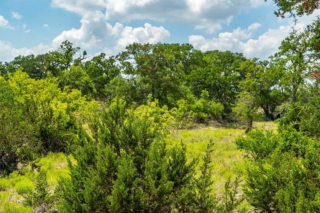 12.03 acres in Gillespie County - photo 9