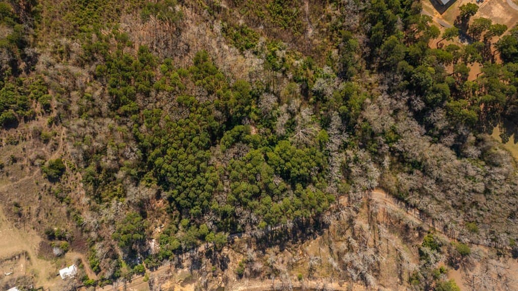 12 acres in Texas County featured view